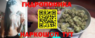 шишки Моздок