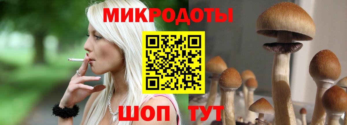 Псилоцибиновые грибы Psilocybine cubensis  Галлюциногенные грибы Psilocybe  Вход с VPN  Солнечногорск 