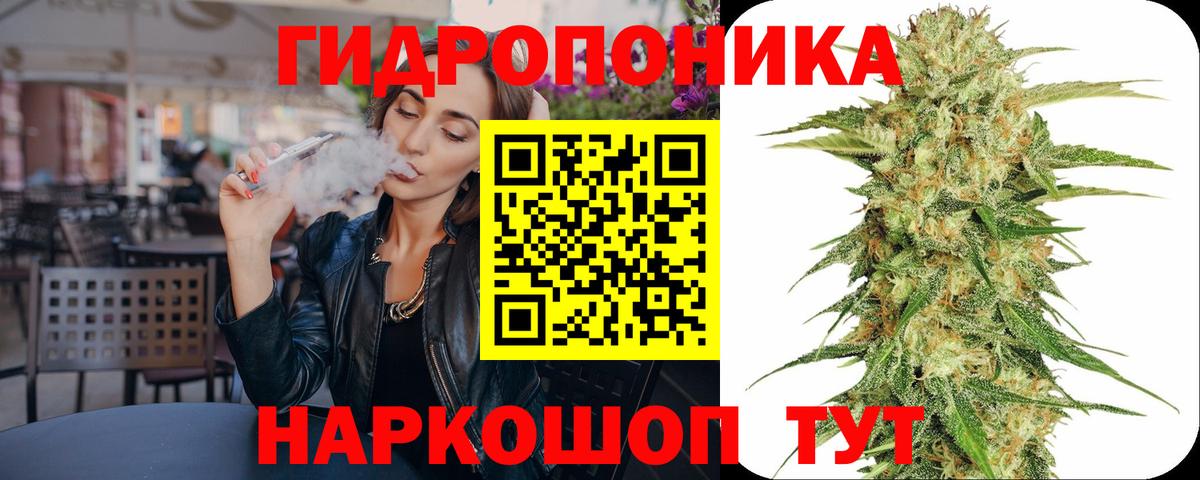 Марихуана планчик  Бошки марихуана AK-47  Вход с VPN  Солнечногорск  Конопля OG Kush  МАРИХУАНА план 